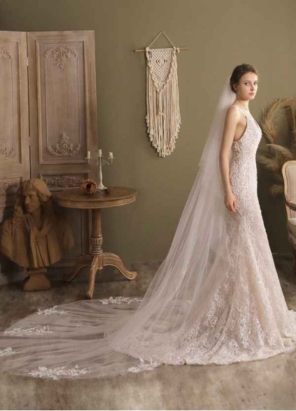 Swan Veil Swan Veil